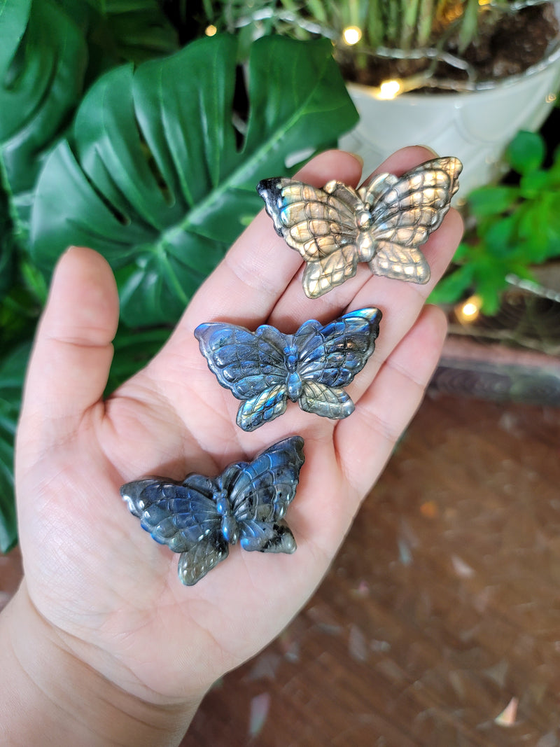 Labradorite Butterflies