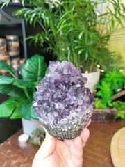 Beautiful Big Points Amethyst Full Stalactite Flower Cupcake