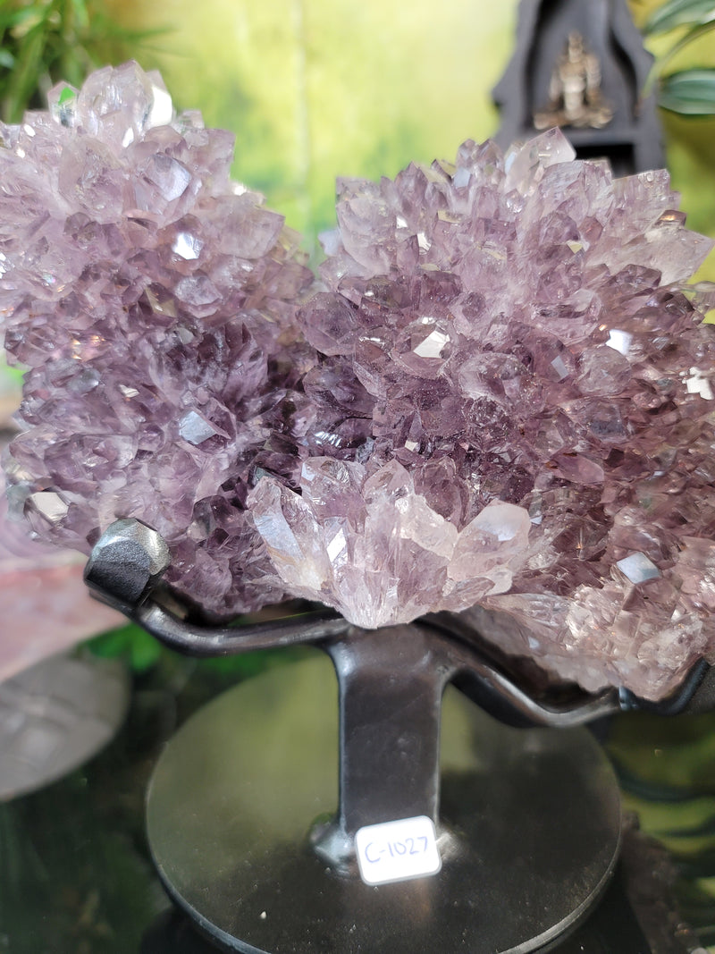 Twin Stalactite Smoky Amethyst with Big Water Clear Points