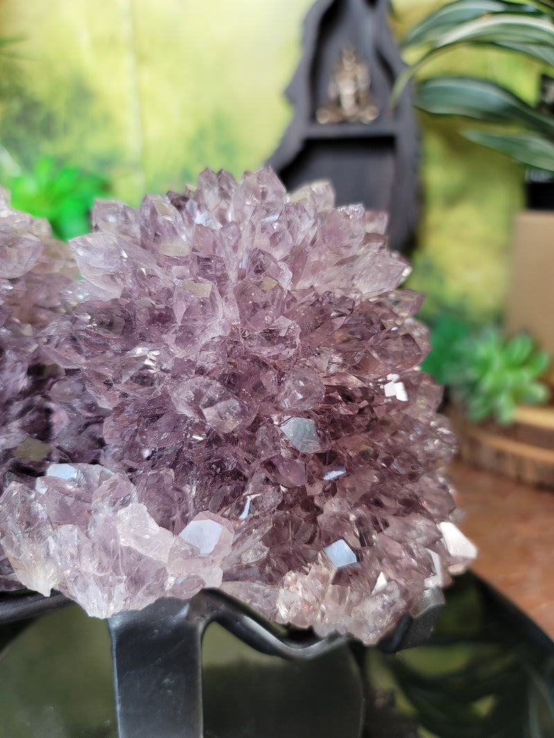 Twin Stalactite Smoky Amethyst with Big Water Clear Points