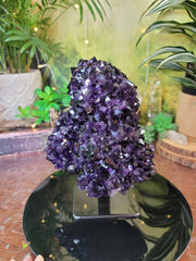 Museum Grade EPIC 13lb Super Extra AA Quality Amethyst Full Stalactite w/Super Saturated Color