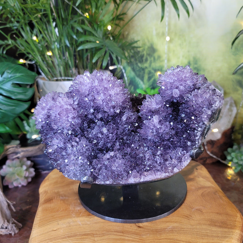 Amethyst Cluster with Water Clear Points, Rosette Flowers on Metal Stand