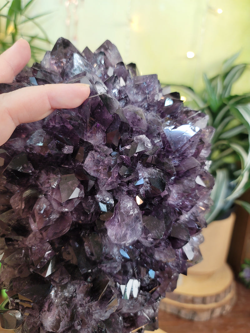 XXL Amethyst Cluster with LARGE Water Clear Gemmy Points on Metal Stand
