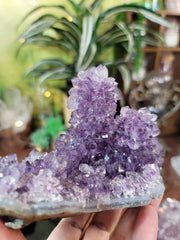 Lustrous Points Amethyst Stalactite on Wooden Base