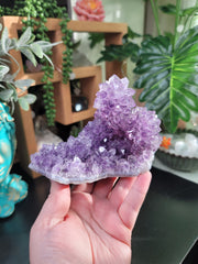 Lustrous Points Amethyst Stalactite on Wooden Base