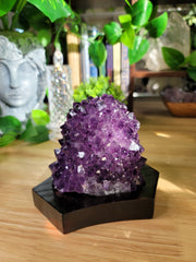 Big Stalactite Tip Amethyst on Wooden Stand
