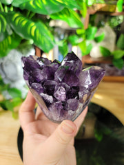 Beautiful Chunky Points Amethyst on Wooden Stand