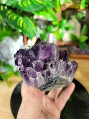 Beautiful Chunky Points Amethyst on Wooden Stand