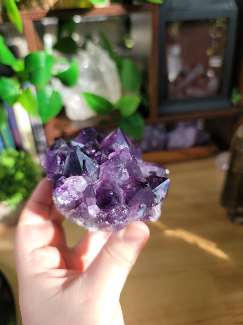 Beautiful Big Points Amethyst on Wooden Stand