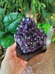 Super Saturated Amethyst on Wooden Base