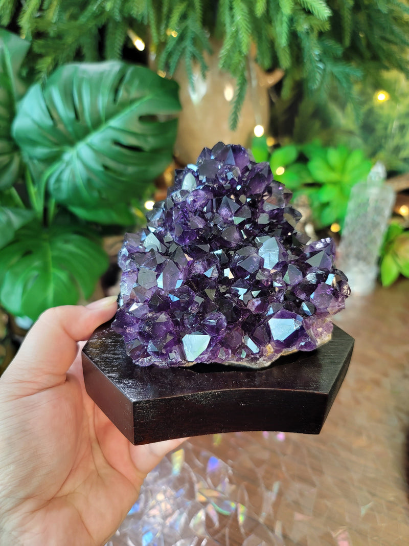 Super Saturated Amethyst on Wooden Base