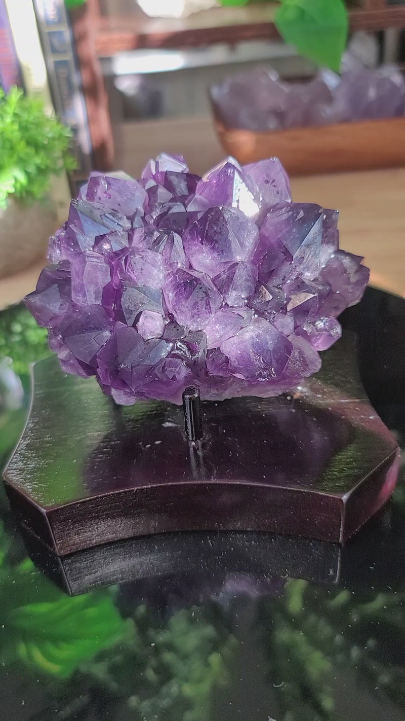 Beautiful Big Points Amethyst on Wooden Stand