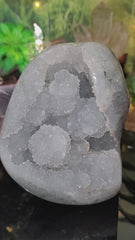Greenish-Grey Druzy with Flowers Geode