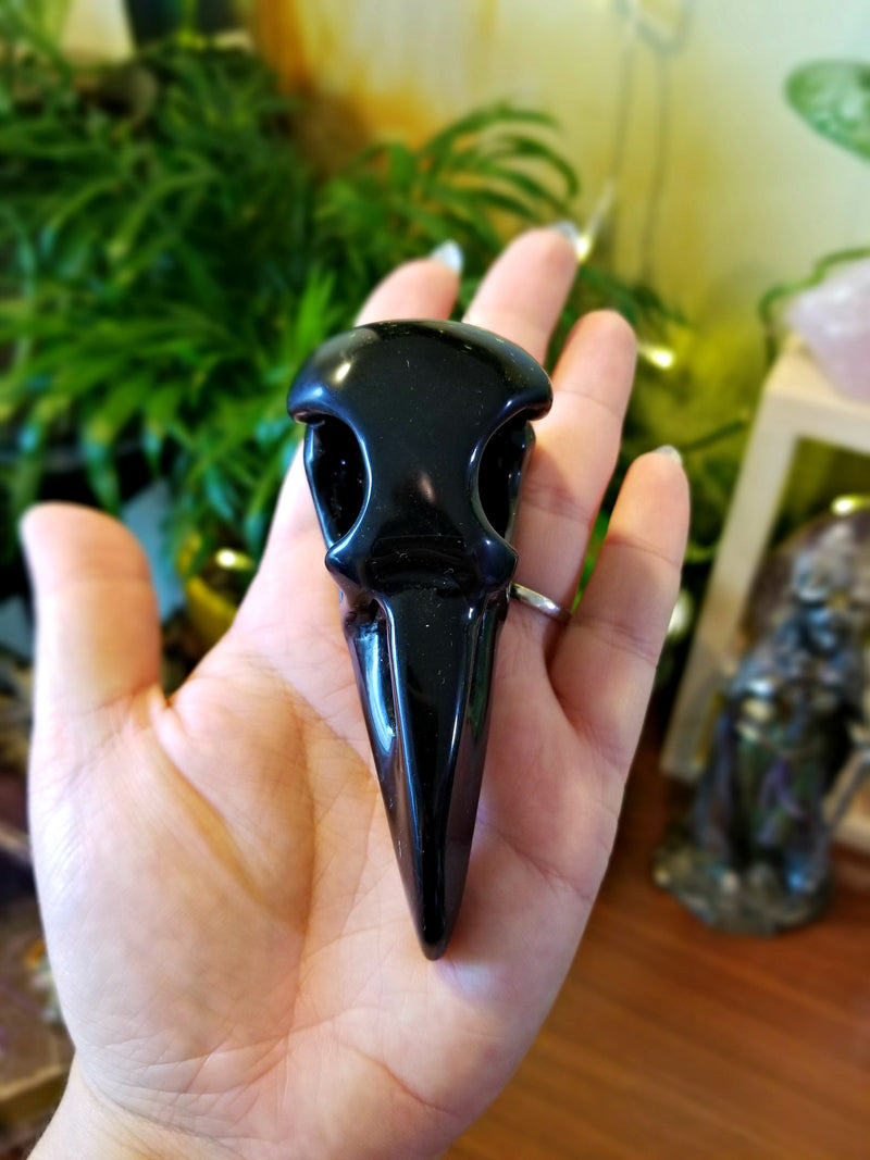 Obsidian Raven Bird Skull