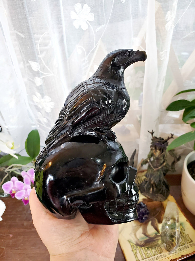 XL Carved Obsidian Human Skull with Crow on Top