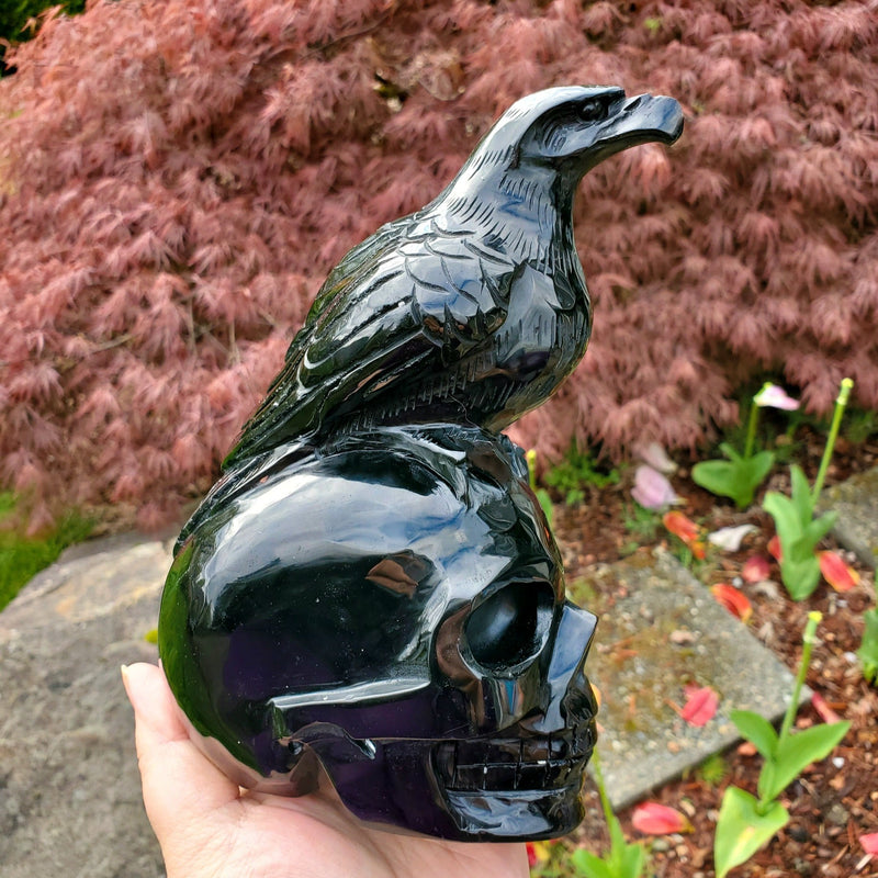 XL Carved Obsidian Human Skull with Crow on Top