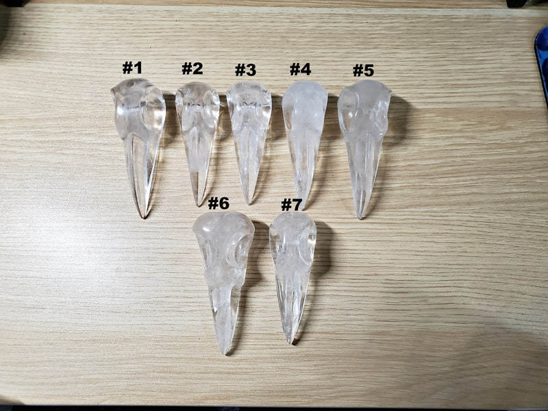 Large Clear Quartz Raven Bird Skull