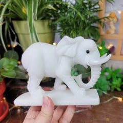 White Jade Elephant Carving