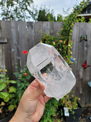 Insane Water Clarity XL Lemurian Crystal Diamantina Region Brazil