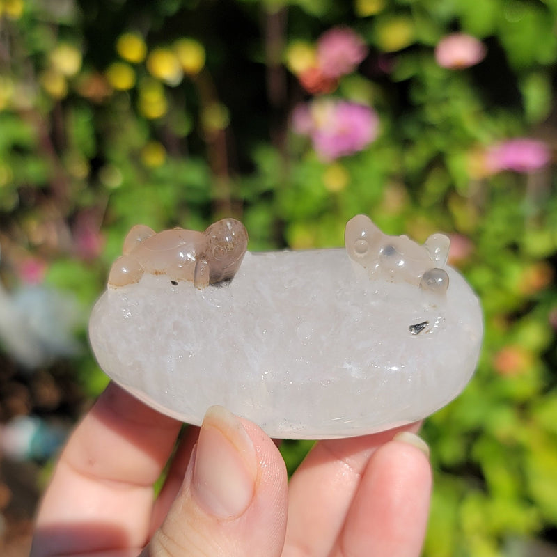 Garden Quartz Froggies Carving
