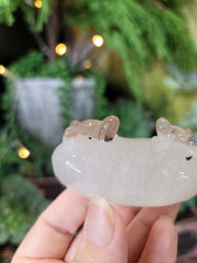 Garden Quartz Froggies Carving
