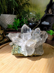 Stunning Himalayan Quartz Flower Cluster with Chlorite & Anatase Inclusions
