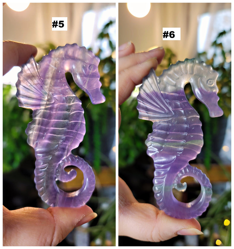 Large Rainbow Fluorite Seahorse