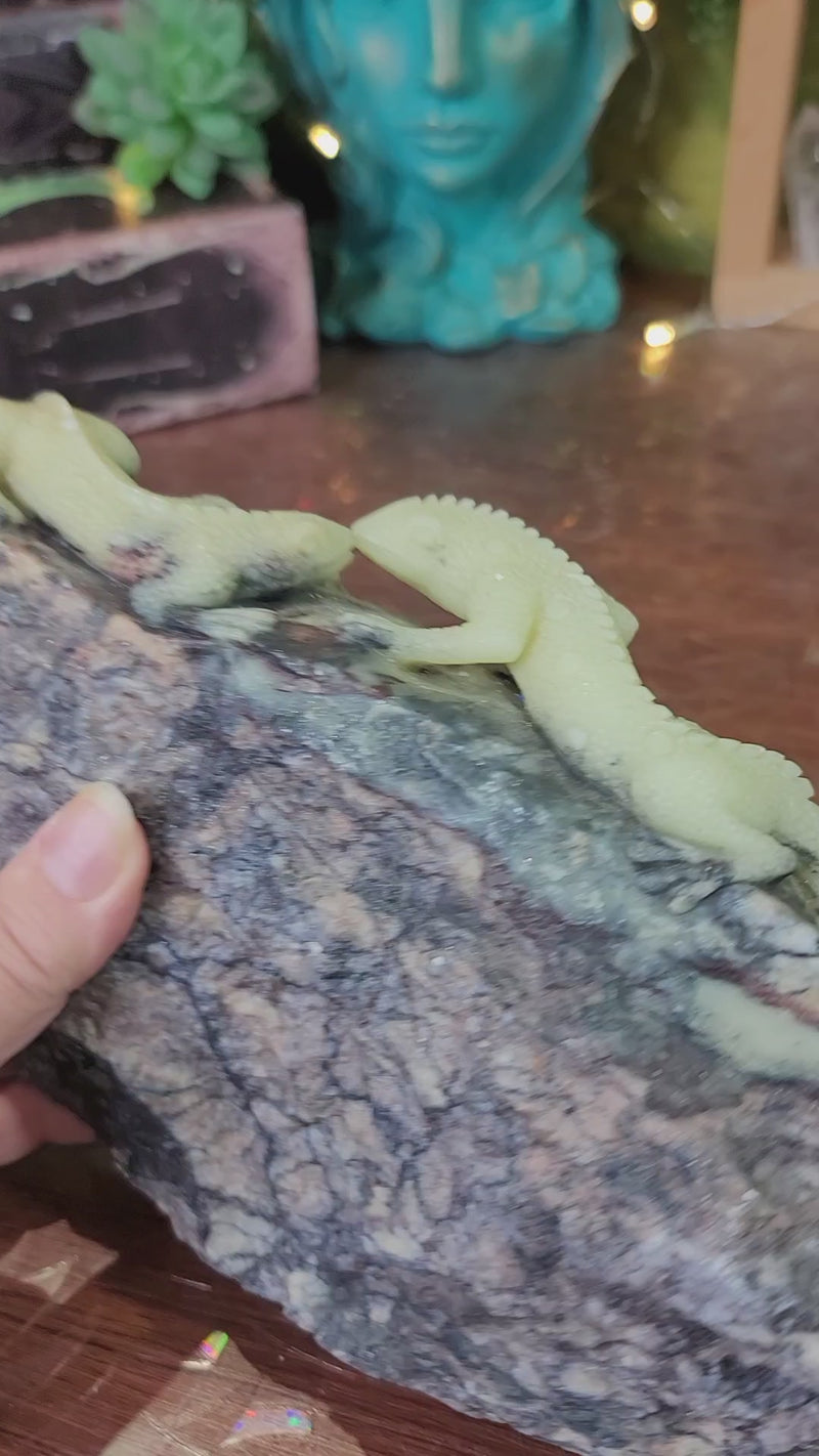 High Quality Serpentine Lizard Carving from Argentina