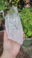 XL Lemurian Timelink Window Crystal Diamantina Region Brazil