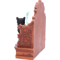 Absinthe Cat by Lisa Parker with Drawer