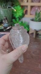 Clear Quartz Shankh Shell (Conch Shell)