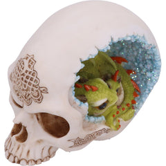 Dragon & Crystal Cave (Green)
